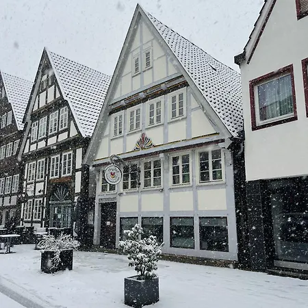 Goldloeckchen - Gemuetliches 80 Qm Im Herzen Der Detmolder Innenstadt